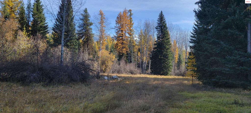 410 Poco Lobo Road, Troy, MT 59935 photo 17