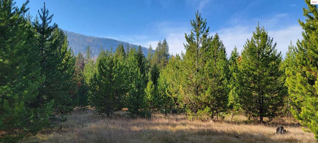 410 Poco Lobo Road, Troy, MT 59935 photo 18