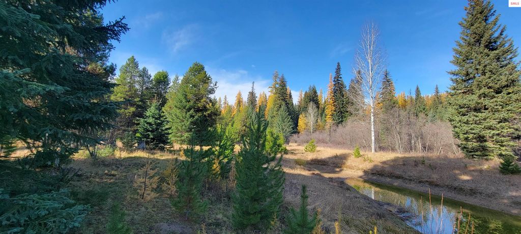 410 Poco Lobo Road, Troy, MT 59935 photo 19