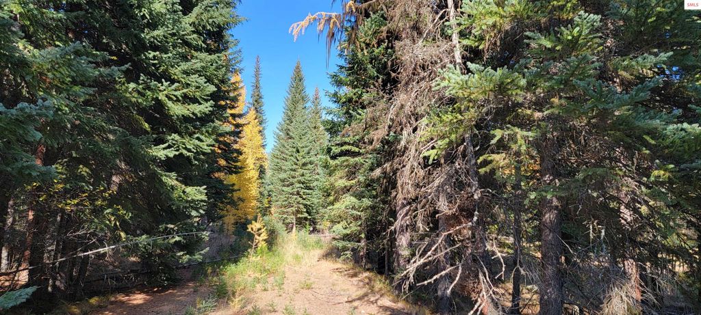 410 Poco Lobo Road, Troy, MT 59935 photo 20