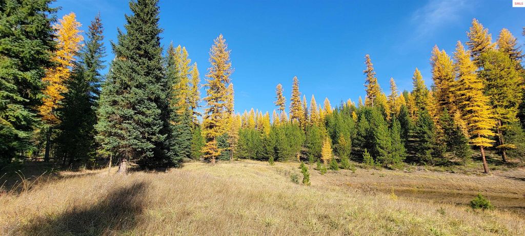 410 Poco Lobo Road, Troy, MT 59935 photo 21