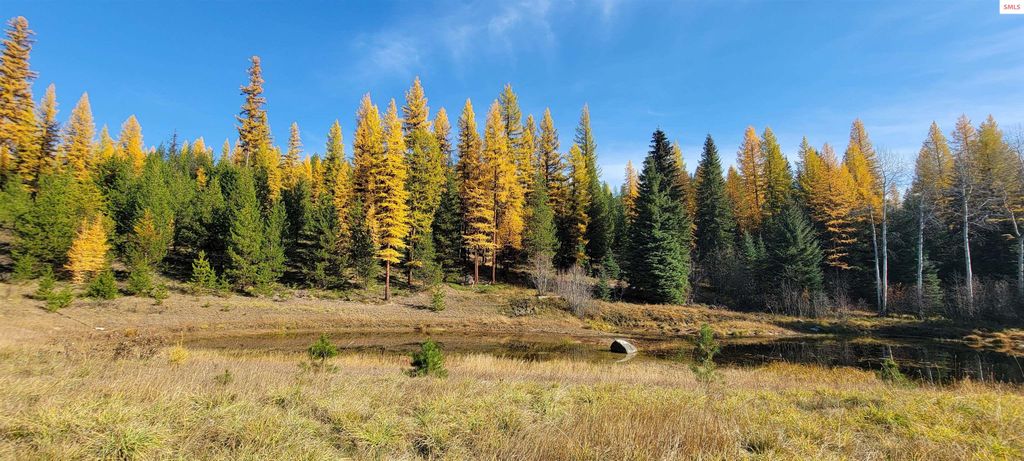 410 Poco Lobo Road, Troy, MT 59935 photo 22