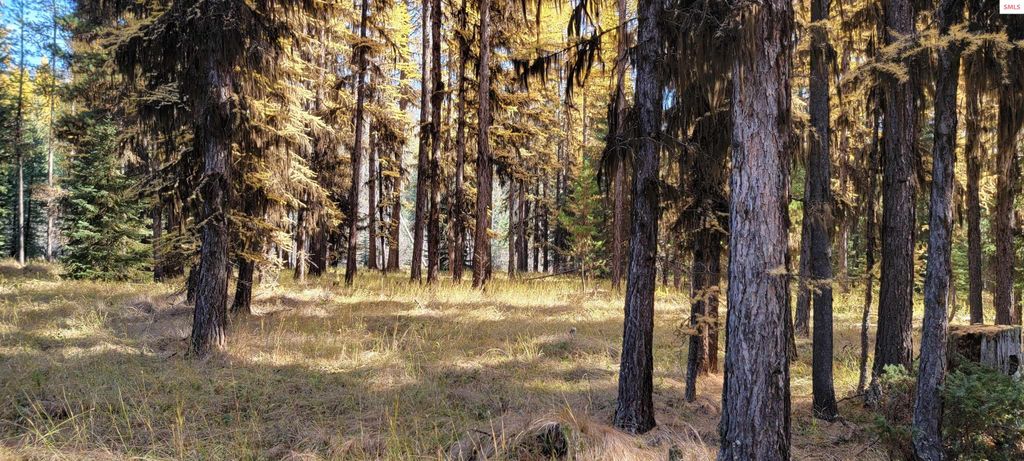 410 Poco Lobo Road, Troy, MT 59935 photo 24