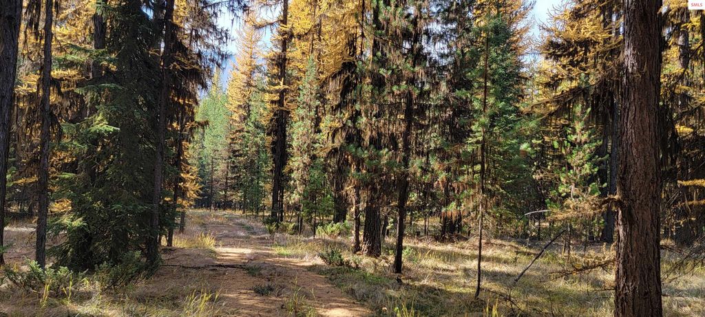 410 Poco Lobo Road, Troy, MT 59935 photo 25