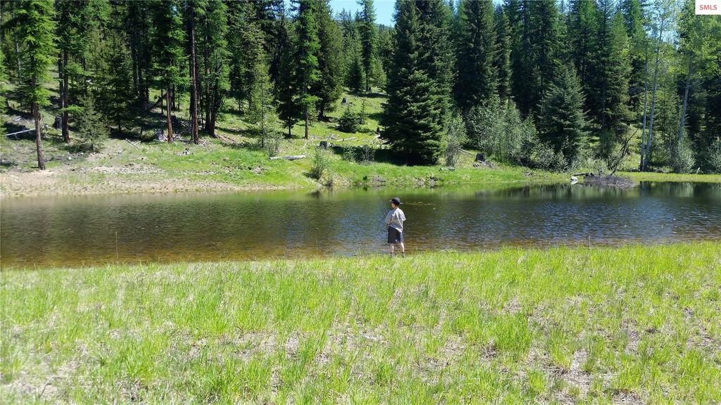 410 Poco Lobo Road, Troy, MT 59935 photo 3