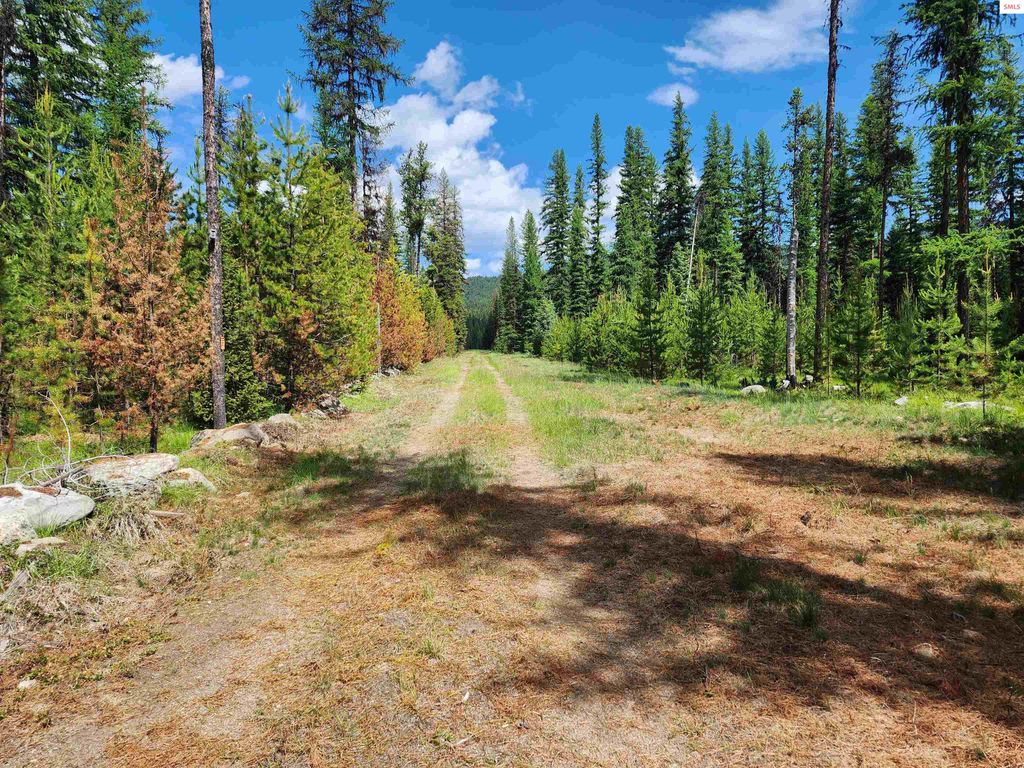 410 Poco Lobo Road, Troy, MT 59935 photo 6