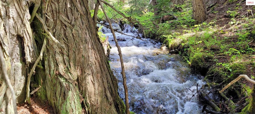 410 Poco Lobo Road, Troy, MT 59935 photo 8