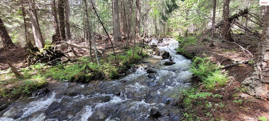 410 Poco Lobo Road, Troy, MT 59935 photo 9