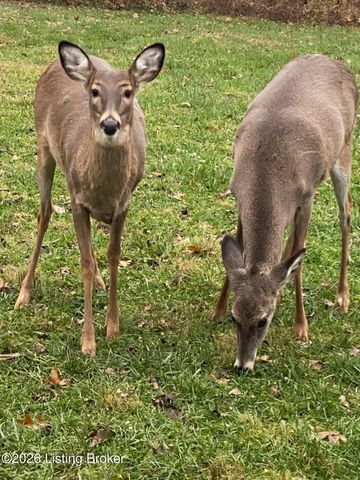 3100 Colton Ct, Crestwood, KY 40014