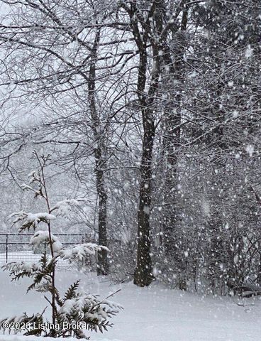 3100 Colton Ct, Crestwood, KY 40014