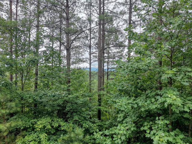 LOT 34 Mile High Lane, Blairsville, GA 30512