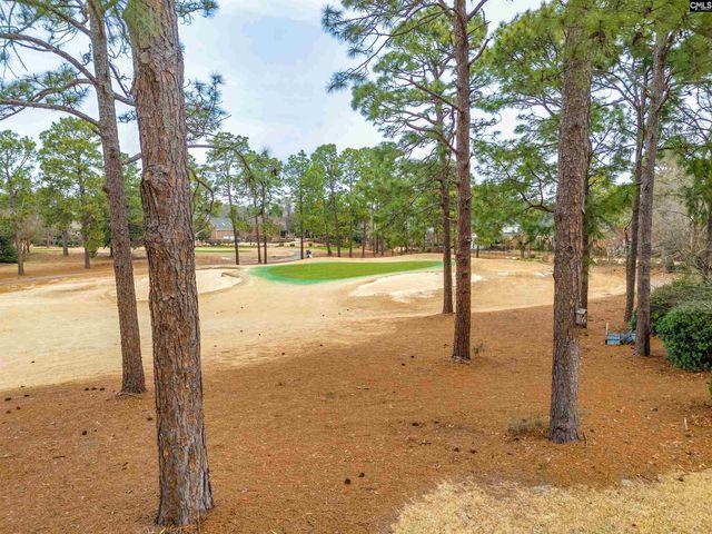 113 Woodsview Lane, Columbia, SC 29223