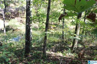 42 FISHER WAY, Vincent, AL 35178