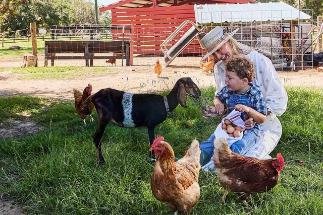 8127 Jack Island Drive, Johns Island, SC 29455