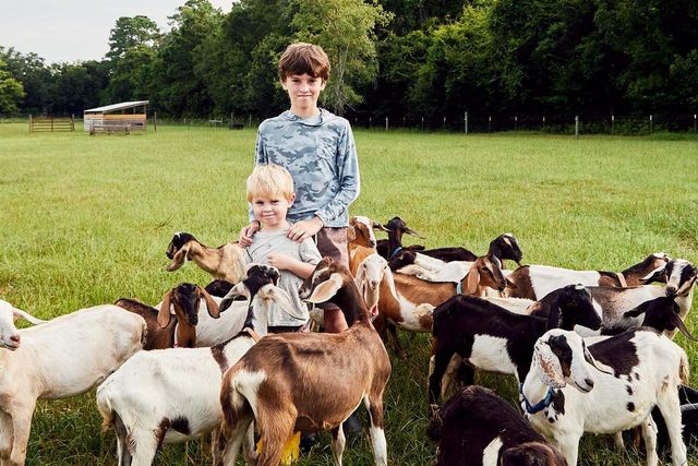 8127 Jack Island Drive, Johns Island, SC 29455