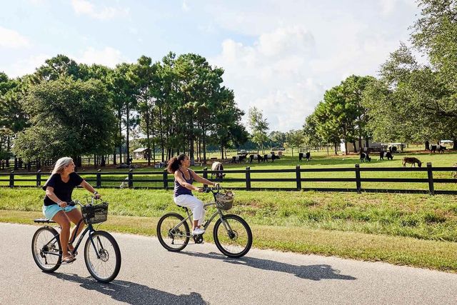 8127 Jack Island Drive, Johns Island, SC 29455