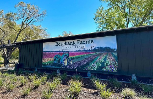 8127 Jack Island Drive, Johns Island, SC 29455