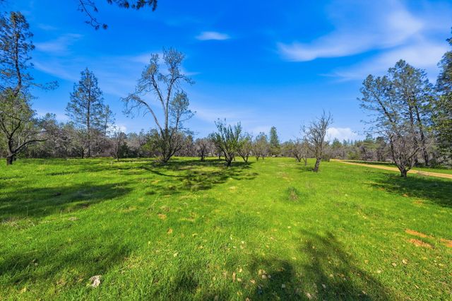16533 Blue Horse Road, Anderson, CA 96007