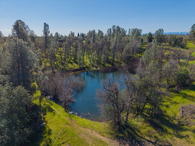 16533 Blue Horse Road, Anderson, CA 96007