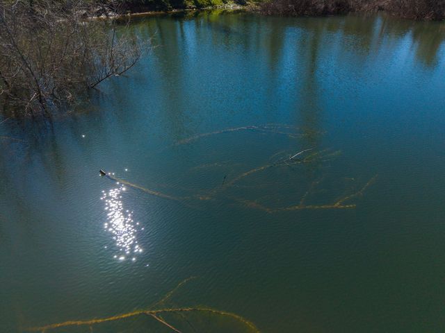 16533 Blue Horse Road, Anderson, CA 96007