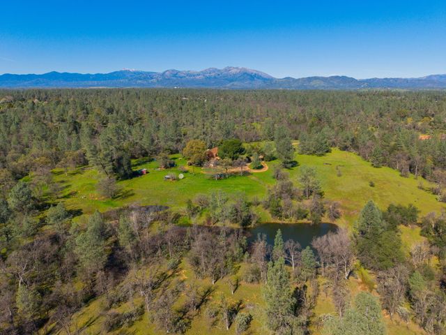 16533 Blue Horse Road, Anderson, CA 96007
