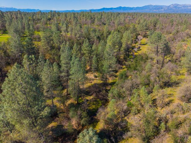 16533 Blue Horse Road, Anderson, CA 96007