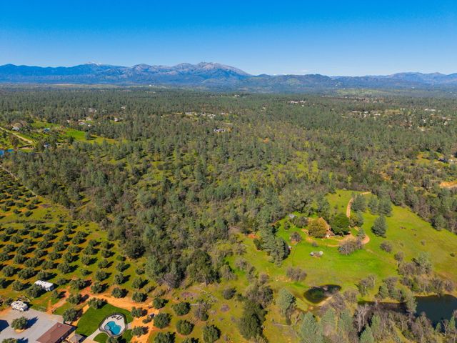 16533 Blue Horse Road, Anderson, CA 96007
