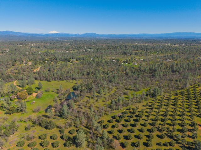 16533 Blue Horse Road, Anderson, CA 96007