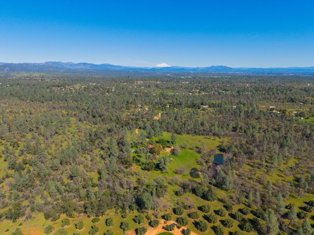 16533 Blue Horse Road, Anderson, CA 96007