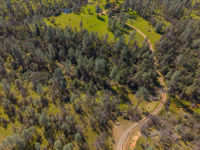 16533 Blue Horse Road, Anderson, CA 96007