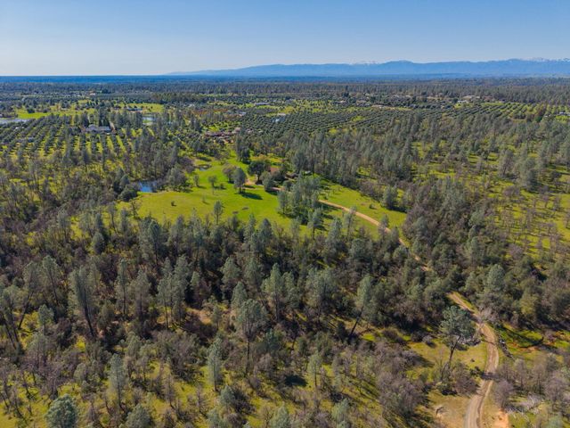 16533 Blue Horse Road, Anderson, CA 96007