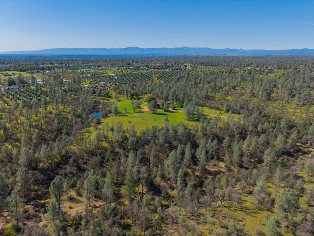 16533 Blue Horse Road, Anderson, CA 96007