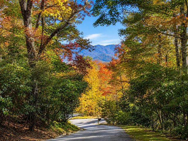 425 FLAT TOP MOUNTAIN ROAD, Fairview, NC 28730