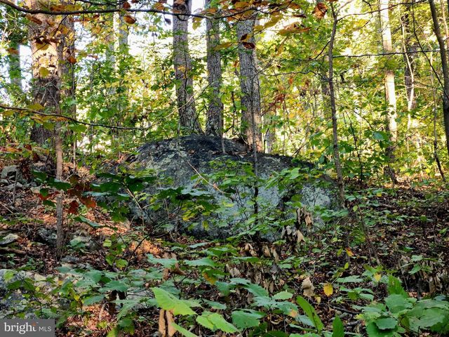 LOTS 3 AND 4 ERNEST ROBINSON ROAD, Marshall, VA 20115