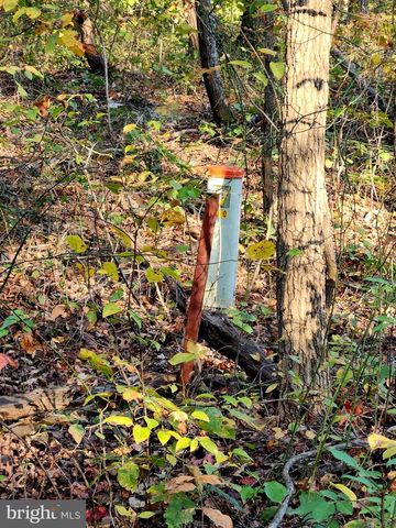 LOTS 3 AND 4 ERNEST ROBINSON ROAD, Marshall, VA 20115