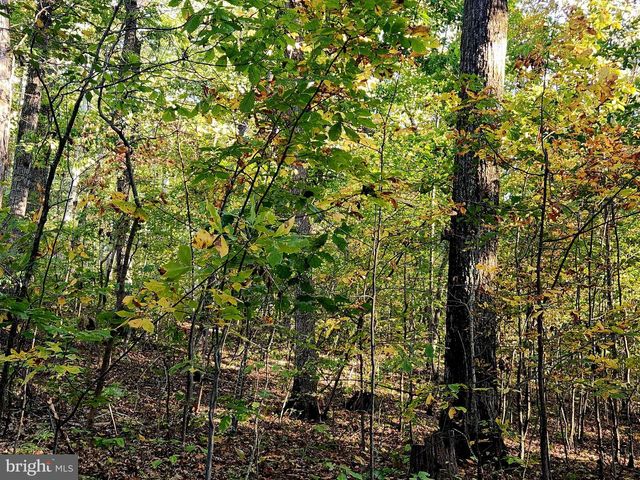 LOTS 3 AND 4 ERNEST ROBINSON ROAD, Marshall, VA 20115