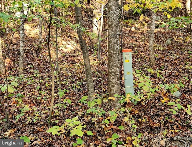 LOTS 3 AND 4 ERNEST ROBINSON ROAD, Marshall, VA 20115