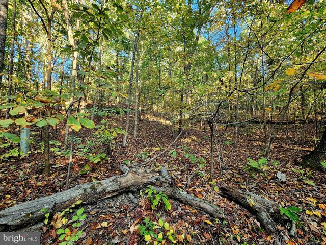 LOTS 3 AND 4 ERNEST ROBINSON ROAD, Marshall, VA 20115