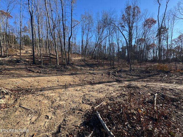 176 Billingsley Rd, Sweetwater, TN 37874