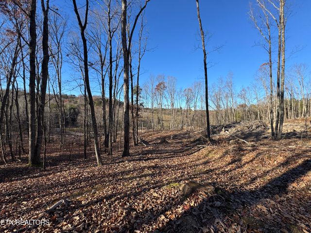 176 Billingsley Rd, Sweetwater, TN 37874