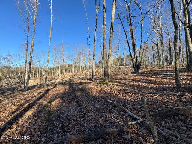 176 Billingsley Rd, Sweetwater, TN 37874