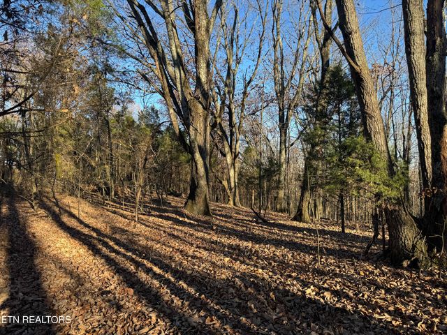 176 Billingsley Rd, Sweetwater, TN 37874