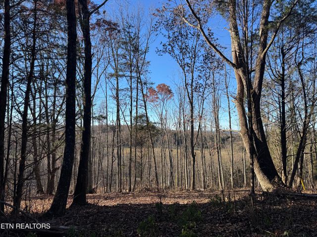 176 Billingsley Rd, Sweetwater, TN 37874