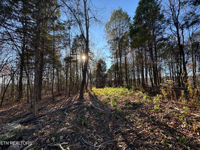 176 Billingsley Rd, Sweetwater, TN 37874