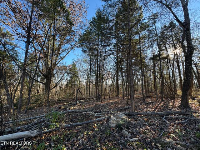 176 Billingsley Rd, Sweetwater, TN 37874