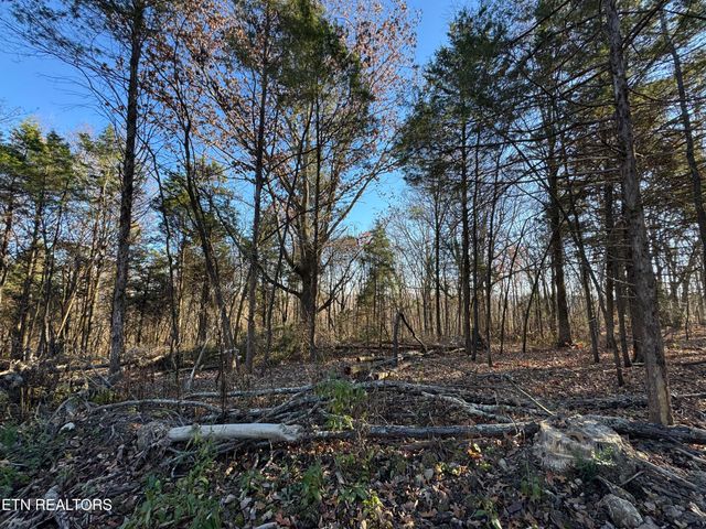 176 Billingsley Rd, Sweetwater, TN 37874