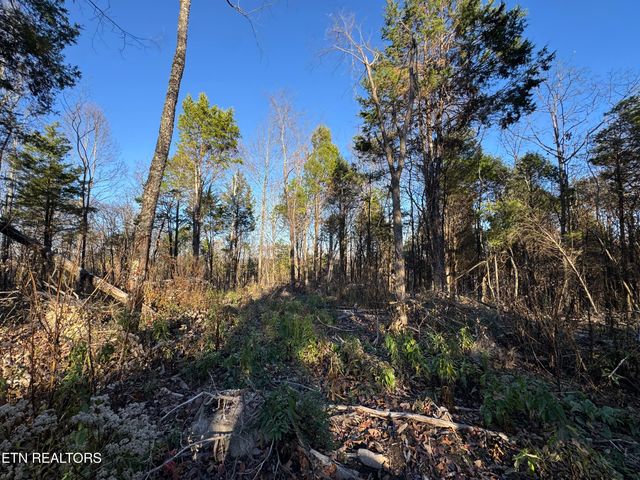 176 Billingsley Rd, Sweetwater, TN 37874