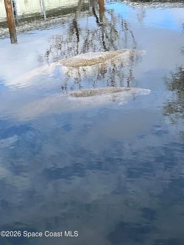 1305 Ebbtide Avenue, Merritt Island, FL 32952