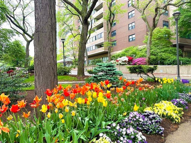 2 Hawthorne Pl 16M, Boston, MA 02114