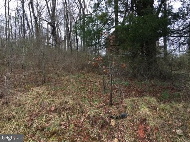 BELL (TOTAL OF FIVE (5) LOTS) RD, Lanham, MD 20706